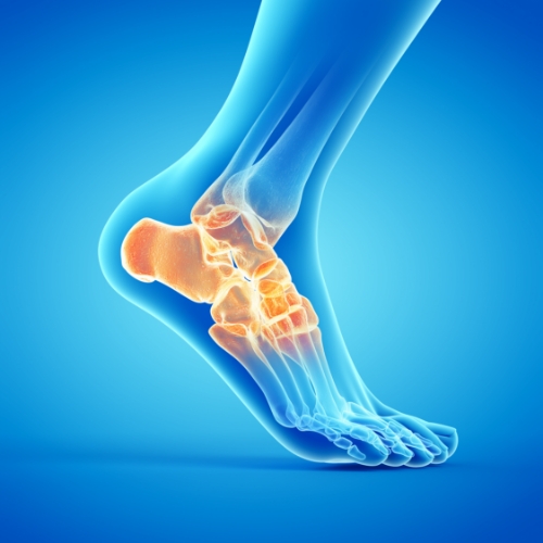 ankle-pain-rhema-gold-physiotherapy-Calgary-AB