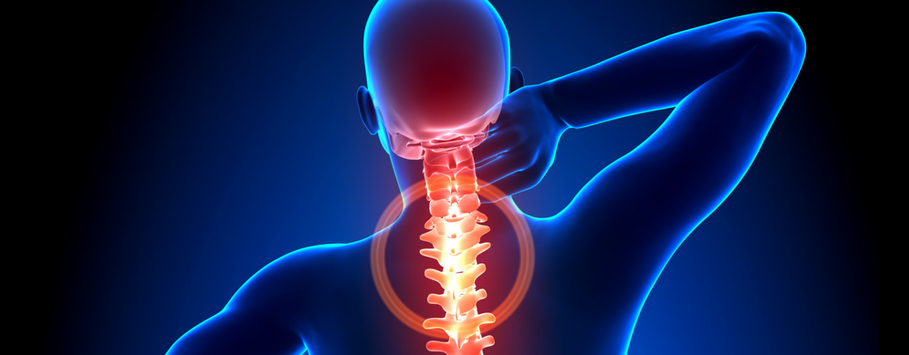 Physiotherapy in Calgary for Lower Back Pain - Anatomy